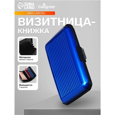 Визитница пластиковая, металлическая, с отделениями внутри, синяя