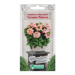 Семена цветов Вербена гибридная "Тускани Персик", 8 шт