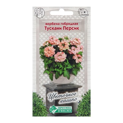 Семена цветов Вербена гибридная "Тускани Персик", 8 шт