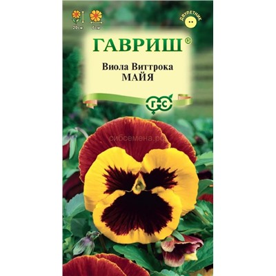 Виола Майя (Гавр)