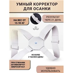 Корректор #23098362