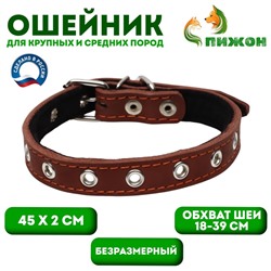 Ошейник кожаный на синтепоне, безразмерный, 45×2 см, ОШ 18-39 см, коричневый