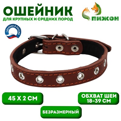 Ошейник кожаный на синтепоне, безразмерный, 45×2 см, ОШ 18-39 см, коричневый