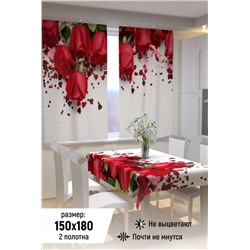 Фотошторы для кухни 10853 (Красно-белый)