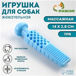 Игрушка для собак «Башня», TPR, массажная, 14×2.8 см, голубая