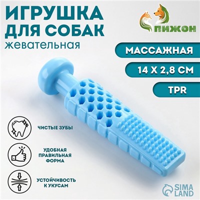Игрушка для собак «Башня», TPR, массажная, 14×2.8 см, голубая