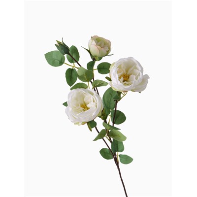 Цветы искусственные «Роза пионовидная галант», 7×61 см, белые