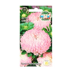 Набор семян Астра "Сваха , 5 шт.