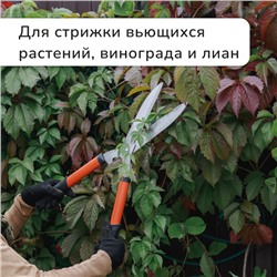 Кусторез, 20.5" (52 см), с пластиковыми ручками, МИКС