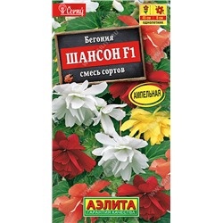 Бегония Шансон F1 СМЕСЬ Аэлита