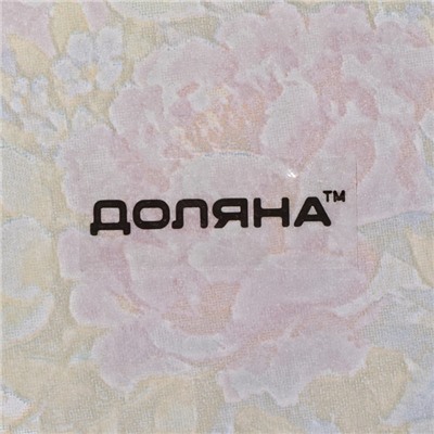 Блюдо стеклянное сервировочное Доляна «Весенний роман», овальное, 24,5×15×2 см