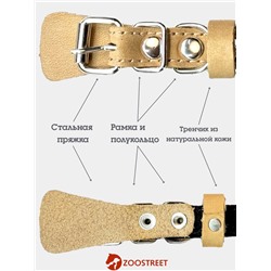 Ошейник, 35×1.5 см, с подкладом и светоотражающей лентой, кожа, бежевый