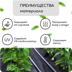 Материал мульчирующий, с перфорацией, 5×1.6 м, плотность 80 г/м², спанбонд с УФ-стабилизатором, 2 ряда перфорации, чёрный, Greengo, Эконом 30%