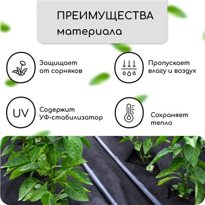Материал мульчирующий, с перфорацией, 5×1.6 м, плотность 80 г/м², спанбонд с УФ-стабилизатором, чёрный, Greengo, Эконом 30%
