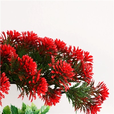 Бонсай искусственный в горшке «Селагинелла африканская», 10×20 см, МИКС