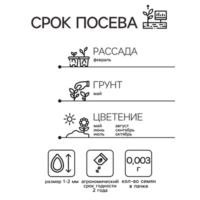 Семена цветов Пентас ланцетовидный "Микс F1", 0,003 г. в амп.