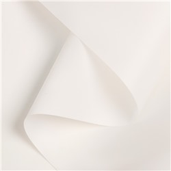 Пленка для цветов и букетов, матовая, белый, 0.57×10 м ±1 см