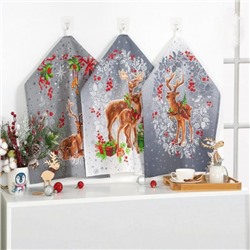 Набор 3 полотенца "Полярная звезда", рогожка