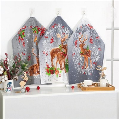 Набор 3 полотенца "Полярная звезда", рогожка