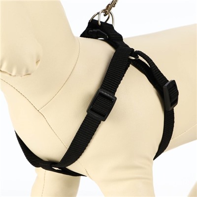 Шлейка с поводком «Базис», 32-46×1.5 с, поводок 120×1.5 см, чёрная