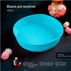 Форма для выпечки Доляна «Круг», силикон, 25×5.5 см, внутрений d=23 см, голубая