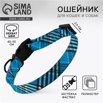 Ошейник «Джентльмен», застёжка - фастекс, 2.5 см, 40-55 см