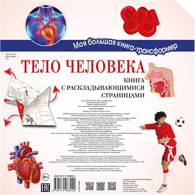 АСТ . "Тело человека"