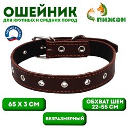 Ошейник кожаный на синтепоне, безразмерный, 65×3 см, ОШ 22-55 см, коричневый