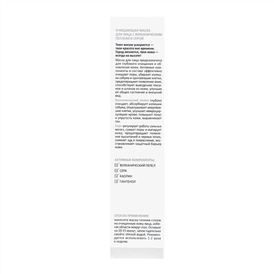ARAVIA Laboratories Laboratories Очищающая маска для лица с вулканическим пеплом и серой BLACK CLEANSE MASK, 100 мл/15