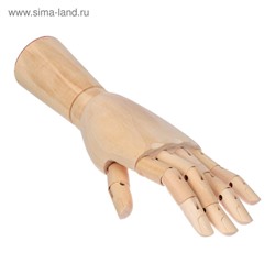 Модель деревянная рука, мужская, левая, 31 см