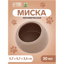 Миска керамическая для грызунов со скошенным краем 30 мл 5.7×5.7×3.5 см, серая
