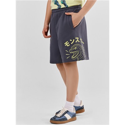 ШОРТЫ ДЛЯ МАЛЬЧИКОВ 133350