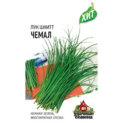 Лук на зелень Шнитт Чемал F1 (Код: 78604)
