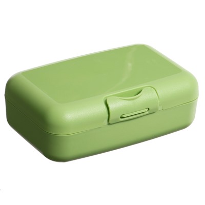 Ланч — бокс Sugar&Spice Honey, 0.7 л, фисташка