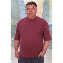 Футболка 5933