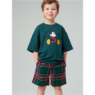 Комплект для мальчиков: фуфайка (футболка) трикотажная, шорты текстильные