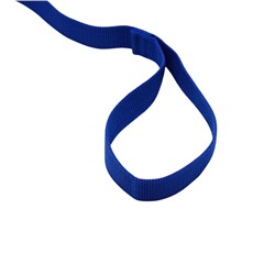 Поводок 3 м × 2.5 см, синий