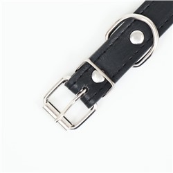 Ошейник «Лион» с шипами, 45×2 см, ОШ 34-40 см, искусственная кожа, чёрный