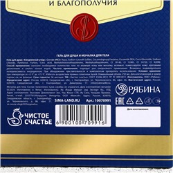 Подарочный набор «Богатства и успеха!», гель для душа виски 250 мл и мочалка для тела, Чистое счастье