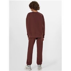 КОМПЛЕКТ ДЛЯ МАЛЬЧИКОВ (СВИТШОТ, БРЮКИ) 393340