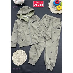 костюм с начесом 2054504-3