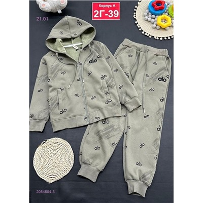 костюм с начесом 2054504-3