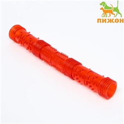 Игрушка тренировочная жевательная «Палка» полая, 24.5 см, красная