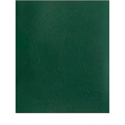 Тетрадь  48л клетка "ЗЕЛЁНЫЙ" бумвинил 48-9535 Проф-Пресс