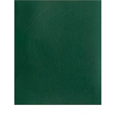 Тетрадь  48л клетка "ЗЕЛЁНЫЙ" бумвинил 48-9535 Проф-Пресс