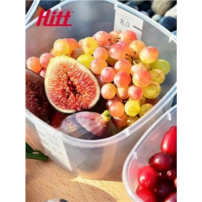 Набор контейнеров #23106019