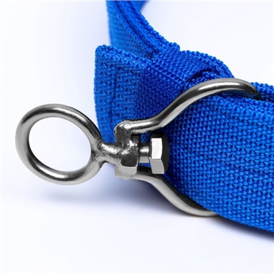 Ошейник четырехслойный, 65×4 см, ОШ 54-60 см, с вертлюгом, полиэстер, синий