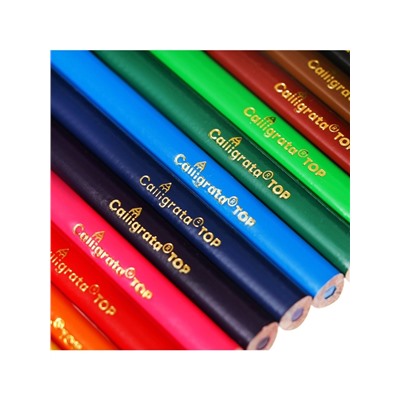 Карандаши Calligrata, 12 цветов, супермягкие, диаметр грифеля 3 мм