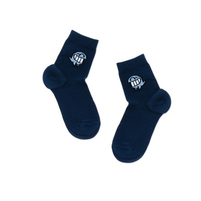 ESLI Носки детские 24С-74СПЕ