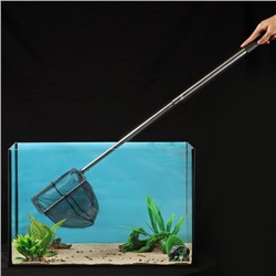 Сачок аквариумный, 20×20 см, телескопический, длина до 100 см